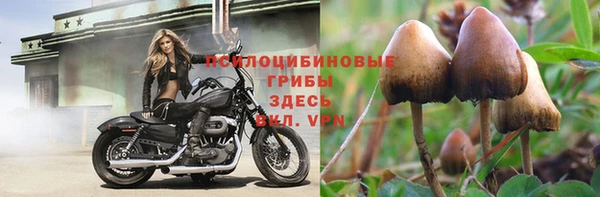 круглые Надым