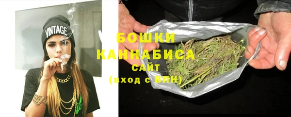 хмурый Михайловск