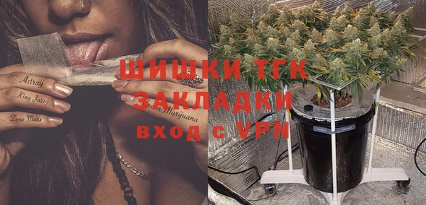 хмурый Михайловск