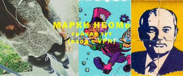 хмурый Михайловск