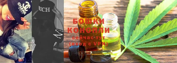 хмурый Михайловск